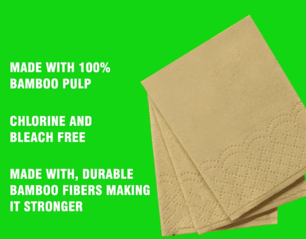 Beco Bamboo Tissues 3Ply 10 Sheets