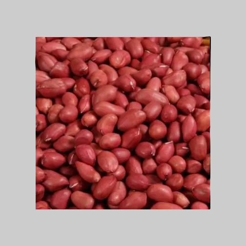 Badam Pack 1