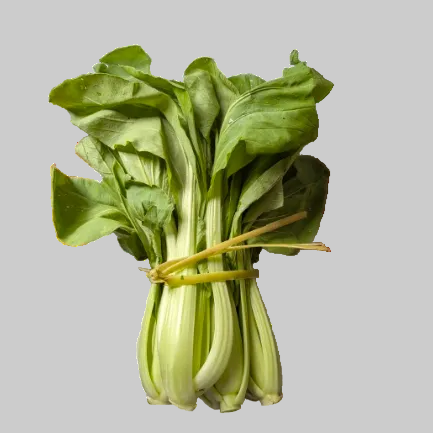 Bok Choy Tel 1