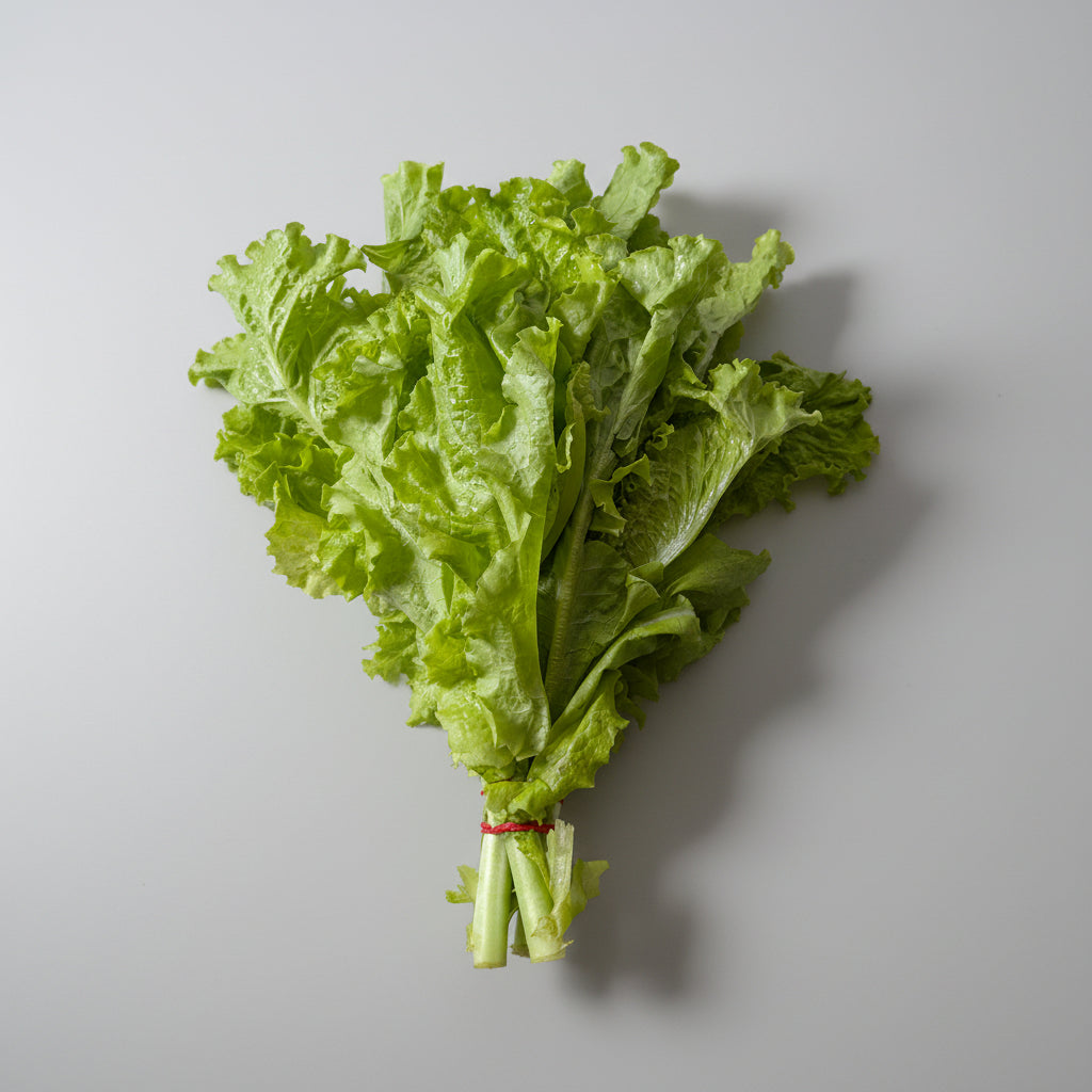 Lettuce Tawn 1