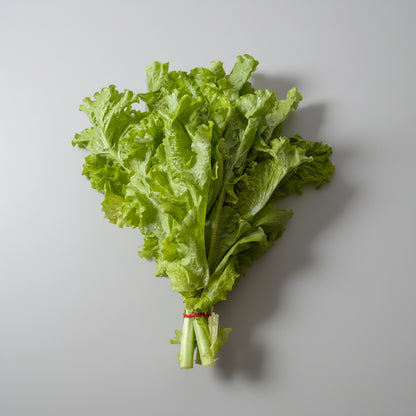 Lettuce Tawn 1