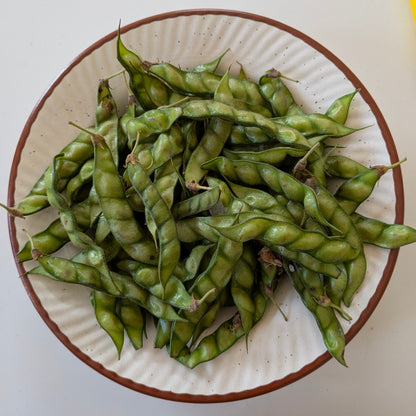 Behliang (Pack khat)