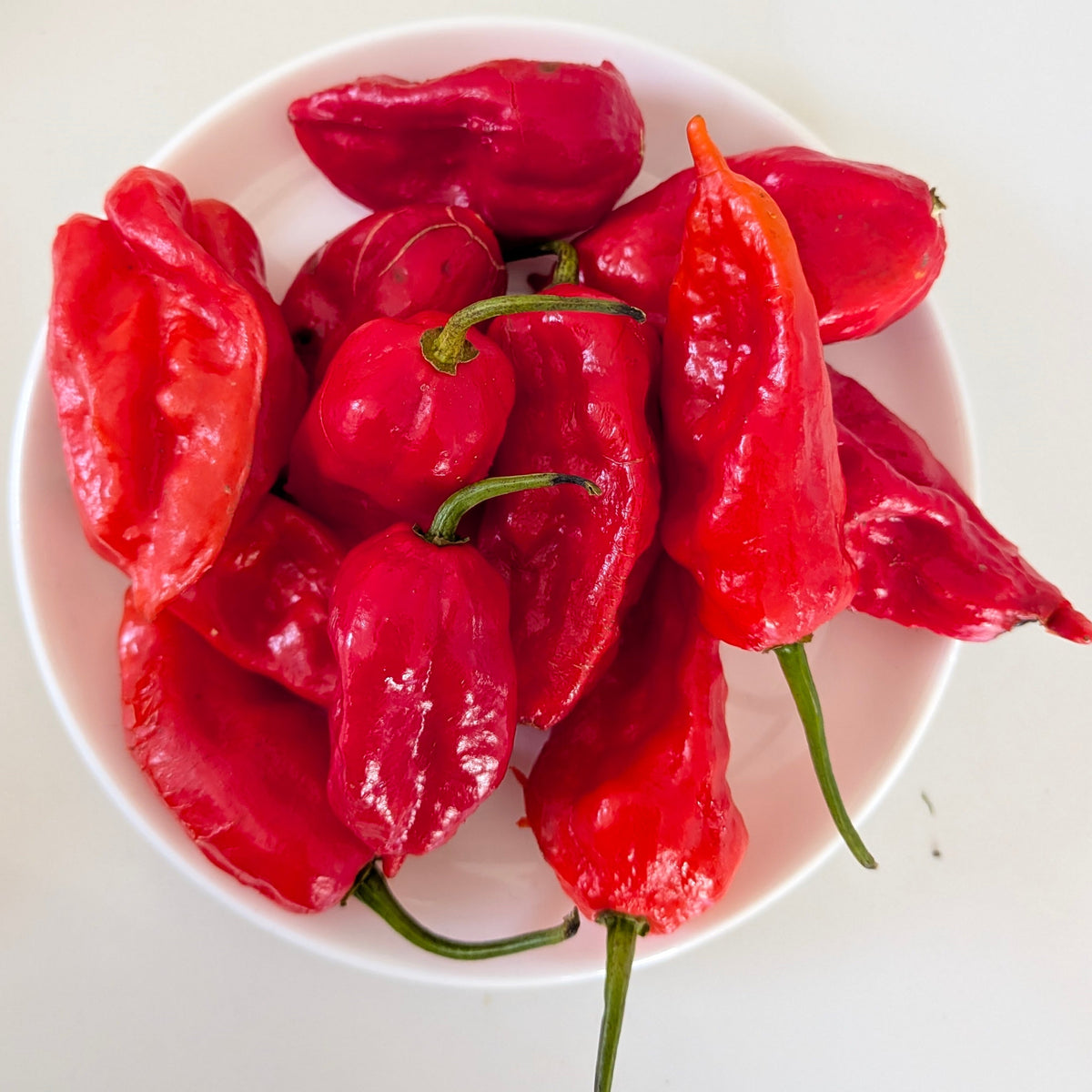 King Chilli 100g