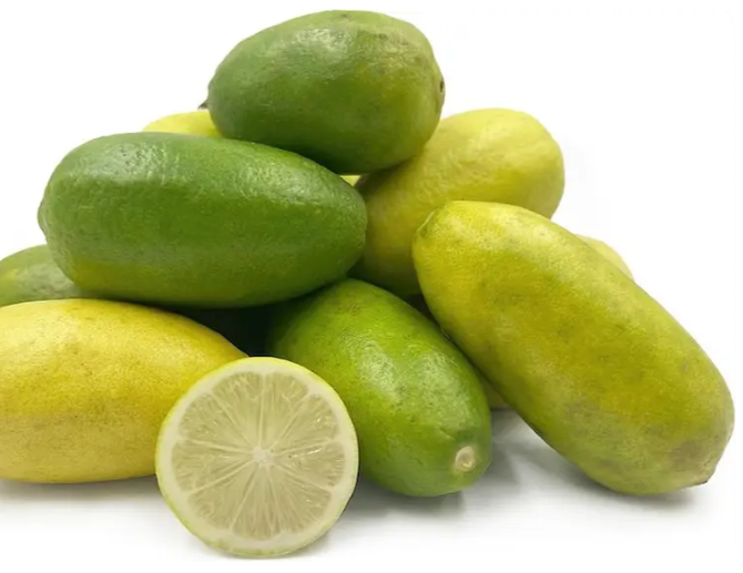 Nimbu Pum 3