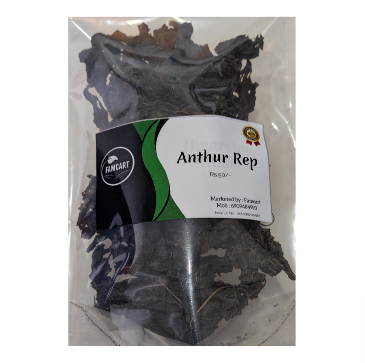 Anthur Rep