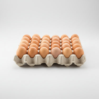 Brown Eggs (Plate)