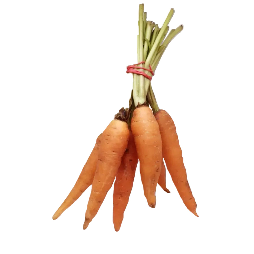 Carrot (500g)