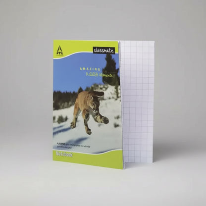 Classmate Square Line (172 Pages)