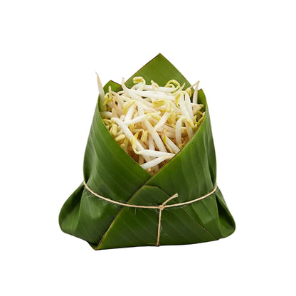 Organic Sprout (Pack)