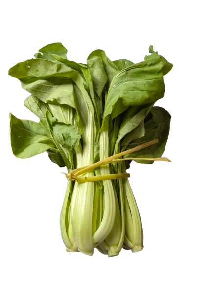 Bok Choy Tel 1