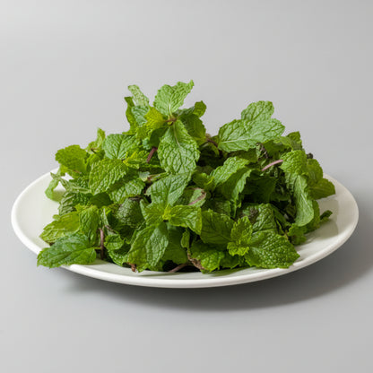 Pudina (Mint Leaves) Tawn 1