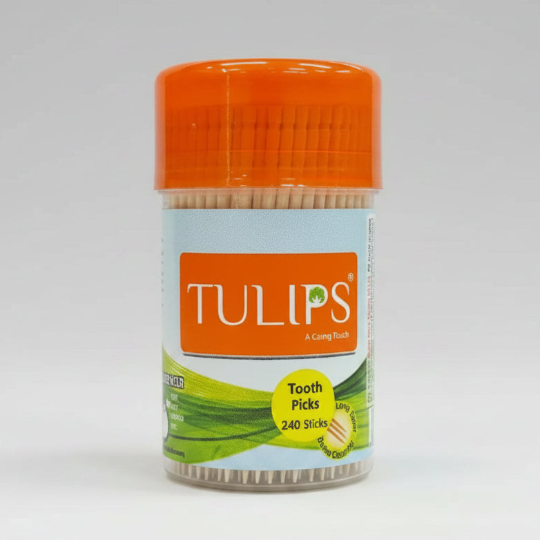 Wooden Toothpicks 240 Sticks in a Jar (240N)