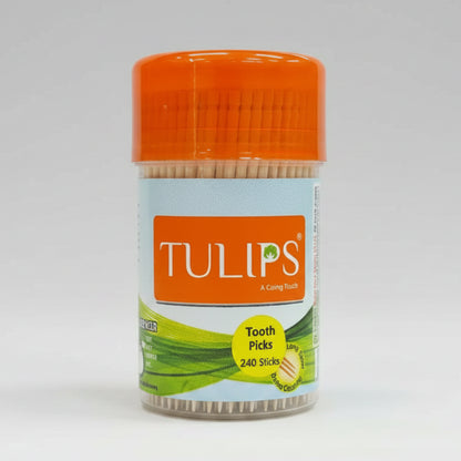 Wooden Toothpicks 240 Sticks in a Jar (240N)